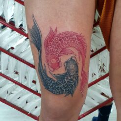 Izhar Rott Tattoo, Koi fish tattoo, leg tattoo